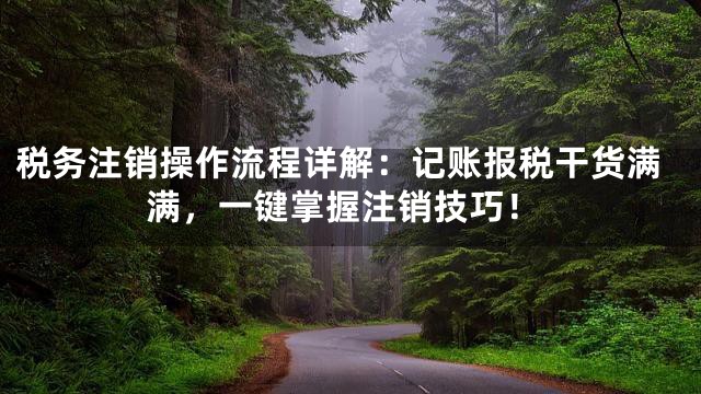 税务注销操作流程详解：记账报税干货满满，一键掌握注销技巧！