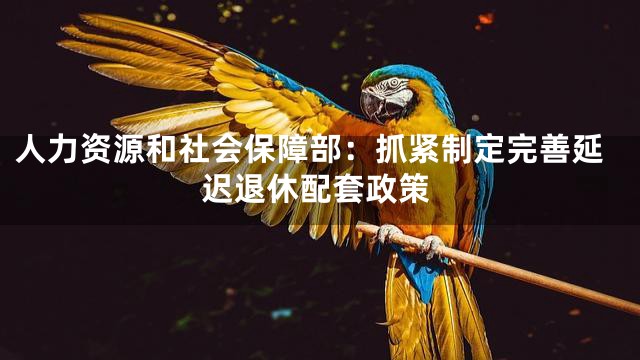 人力资源和社会保障部：抓紧制定完善延迟退休配套政策