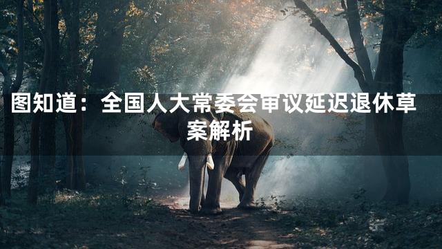 图知道：全国人大常委会审议延迟退休草案解析