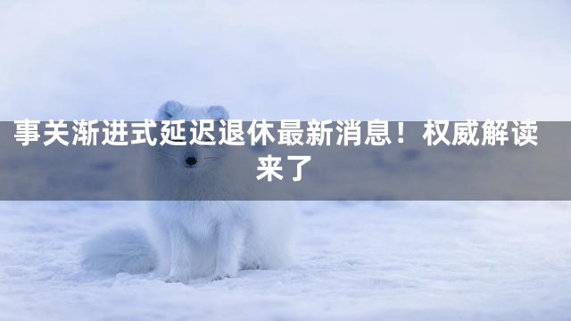 事关渐进式延迟退休最新消息！权威解读来了