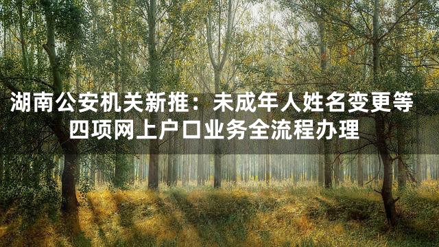 湖南公安机关新推：未成年人姓名变更等四项网上户口业务全流程办理