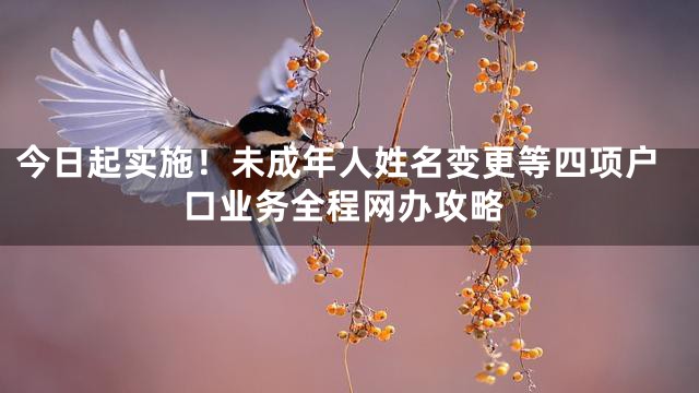 今日起实施！未成年人姓名变更等四项户口业务全程网办攻略