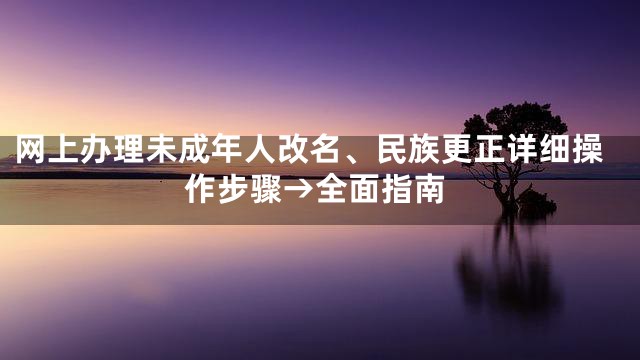 网上办理未成年人改名、民族更正详细操作步骤→全面指南