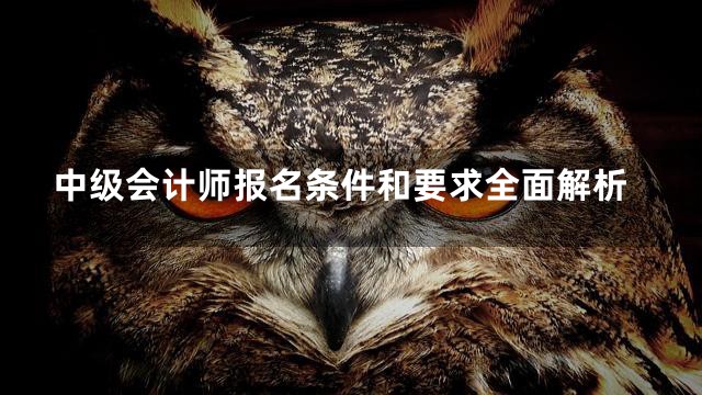 中级会计师报名条件和要求全面解析