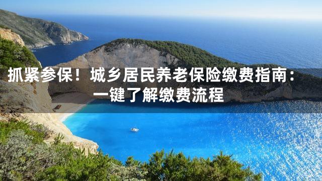 抓紧参保！城乡居民养老保险缴费指南：一键了解缴费流程