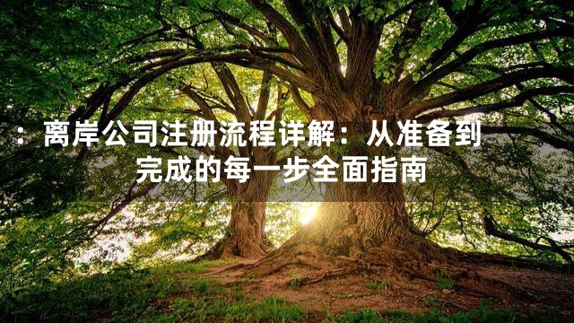 ：

离岸公司注册流程详解：从准备到完成的每一步全面指南