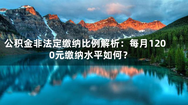 公积金非法定缴纳比例解析：每月1200元缴纳水平如何？