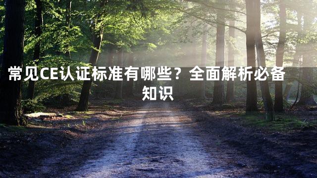常见CE认证标准有哪些？全面解析必备知识