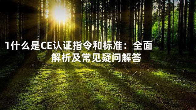 1

什么是CE认证指令和标准：全面解析及常见疑问解答