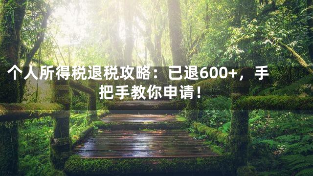 个人所得税退税攻略：已退600+，手把手教你申请！