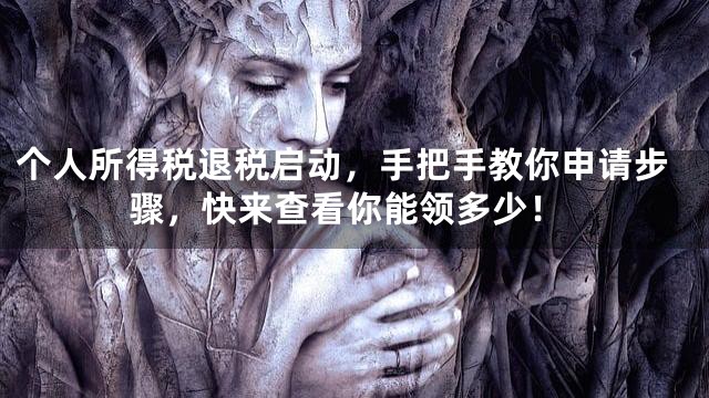 个人所得税退税启动，手把手教你申请步骤，快来查看你能领多少！
