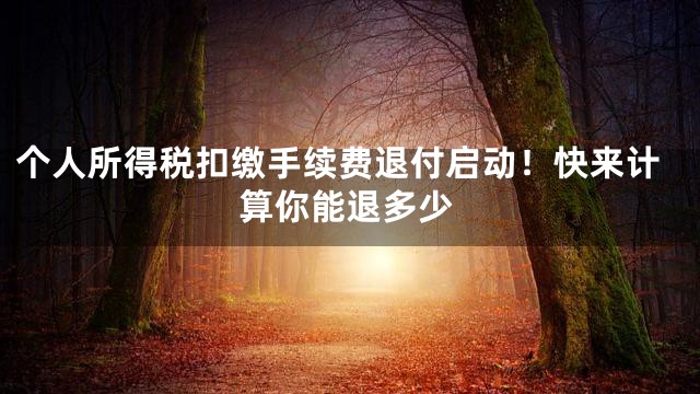 个人所得税扣缴手续费退付启动！快来计算你能退多少