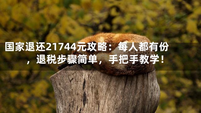 国家退还21744元攻略：每人都有份，退税步骤简单，手把手教学！