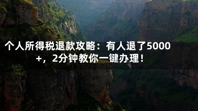 个人所得税退款攻略：有人退了5000+，2分钟教你一键办理！