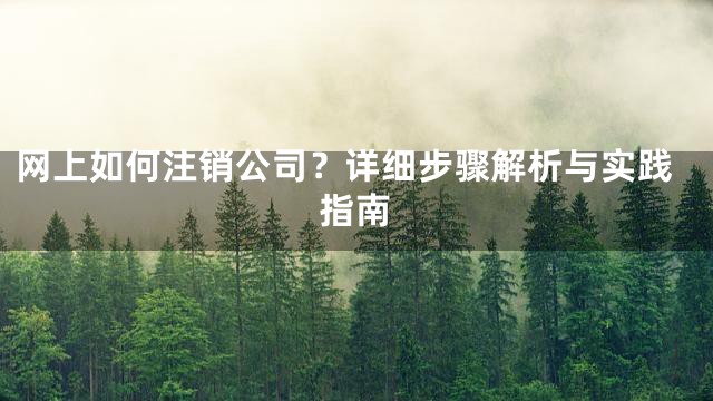 网上如何注销公司？详细步骤解析与实践指南