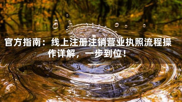 官方指南：线上注册注销营业执照流程操作详解，一步到位！