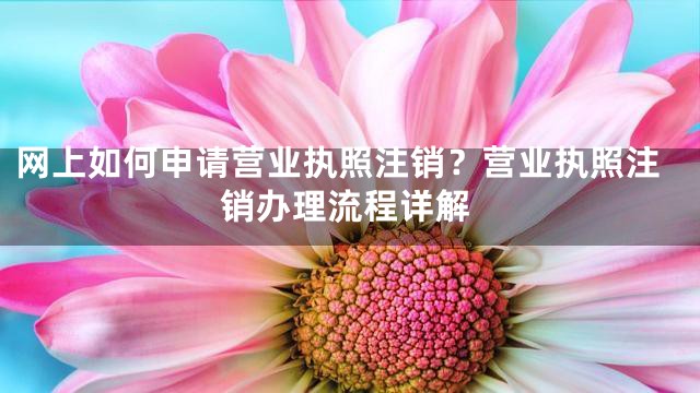 网上如何申请营业执照注销？营业执照注销办理流程详解