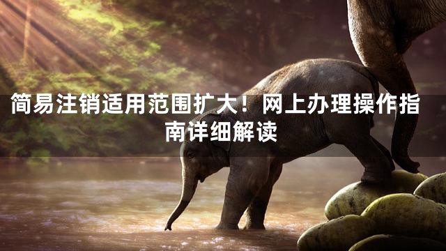 简易注销适用范围扩大！网上办理操作指南详细解读
