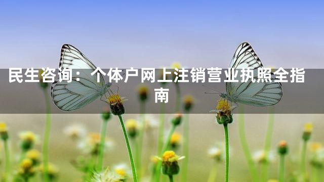 民生咨询：个体户网上注销营业执照全指南