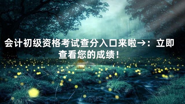 会计初级资格考试查分入口来啦→：立即查看您的成绩！