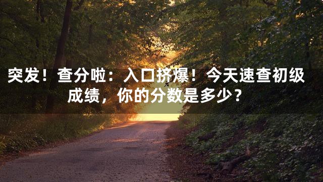 突发！查分啦：入口挤爆！今天速查初级成绩，你的分数是多少？