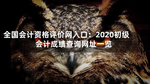 全国会计资格评价网入口：2020初级会计成绩查询网址一览