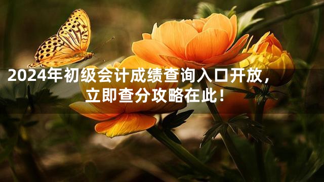 2024年初级会计成绩查询入口开放，立即查分攻略在此！