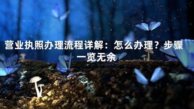 营业执照办理流程详解：怎么办理？步骤一览无余