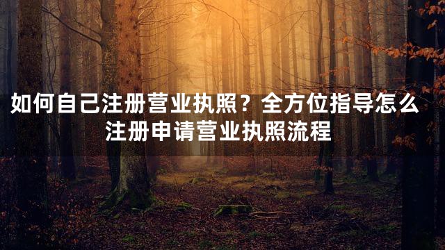 如何自己注册营业执照？全方位指导怎么注册申请营业执照流程