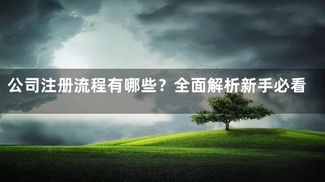 公司注册流程有哪些？全面解析新手必看
