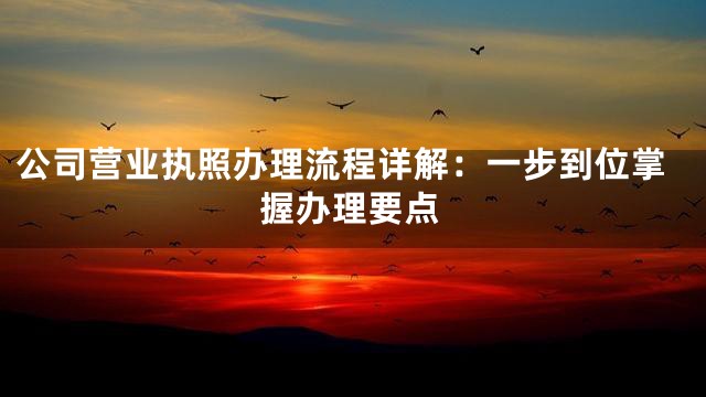 公司营业执照办理流程详解：一步到位掌握办理要点