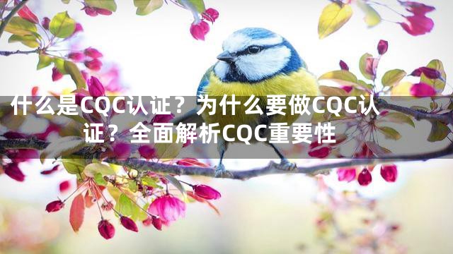 什么是CQC认证？为什么要做CQC认证？全面解析CQC重要性