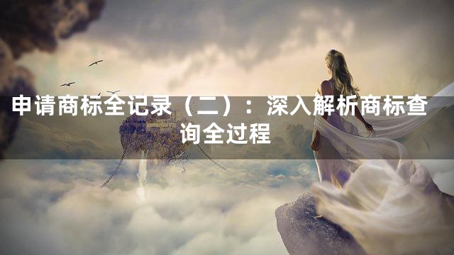 申请商标全记录（二）：深入解析商标查询全过程