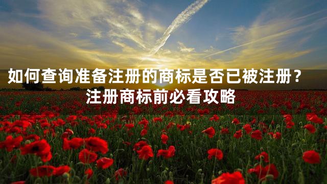 如何查询准备注册的商标是否已被注册？注册商标前必看攻略
