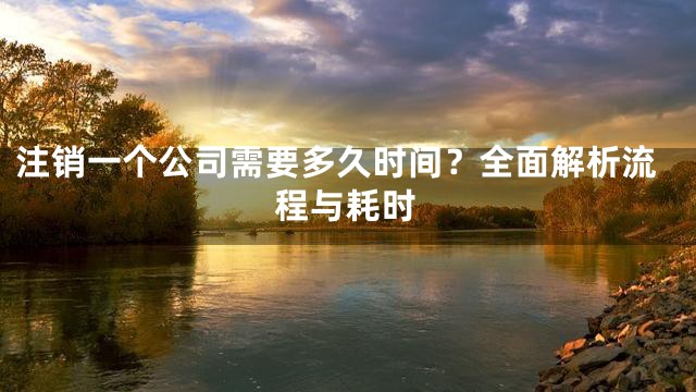 注销一个公司需要多久时间？全面解析流程与耗时