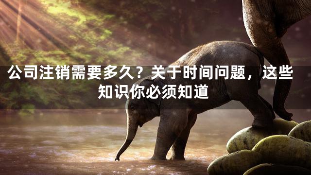 公司注销需要多久？关于时间问题，这些知识你必须知道