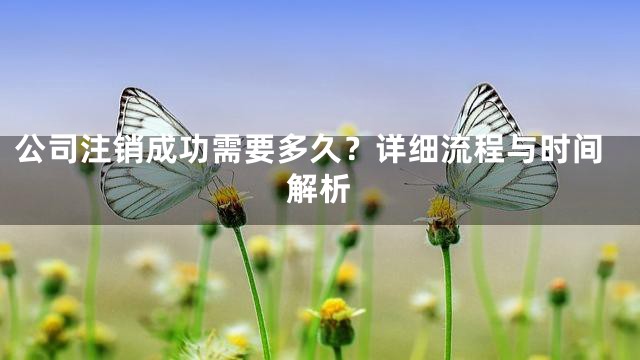 公司注销成功需要多久？详细流程与时间解析