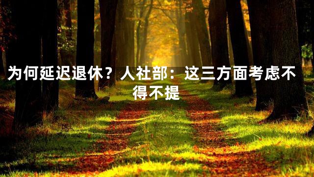 为何延迟退休？人社部：这三方面考虑不得不提