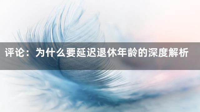 评论：为什么要延迟退休年龄的深度解析