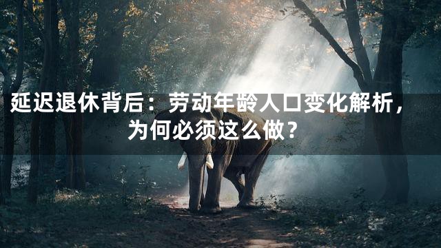延迟退休背后：劳动年龄人口变化解析，为何必须这么做？