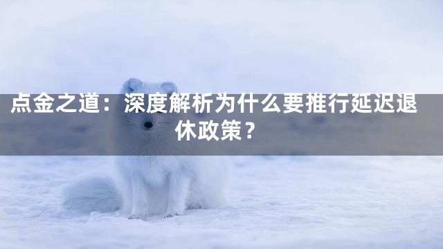 点金之道：深度解析为什么要推行延迟退休政策？