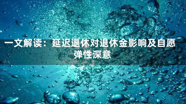 一文解读：延迟退休对退休金影响及自愿弹性深意