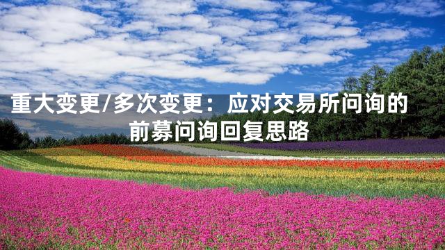 重大变更/多次变更：应对交易所问询的前募问询回复思路