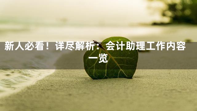 新人必看！详尽解析：会计助理工作内容一览