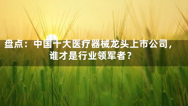 盘点：中国十大医疗器械龙头上市公司，谁才是行业领军者？