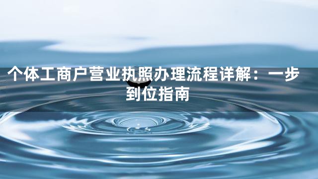 个体工商户营业执照办理流程详解：一步到位指南