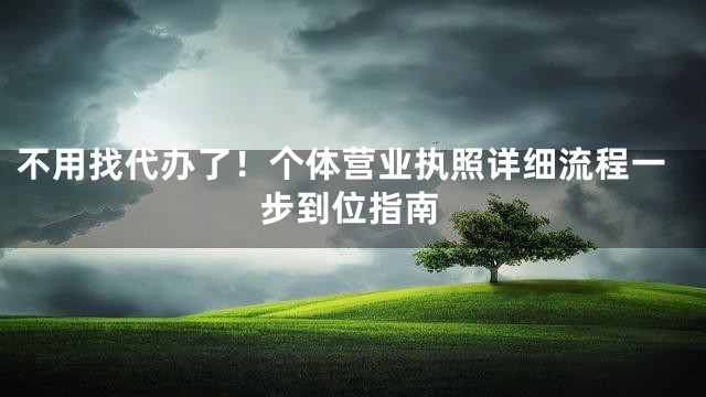 不用找代办了！个体营业执照详细流程一步到位指南