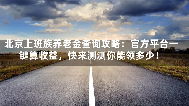 北京上班族养老金查询攻略：官方平台一键算收益，快来测测你能领多少！