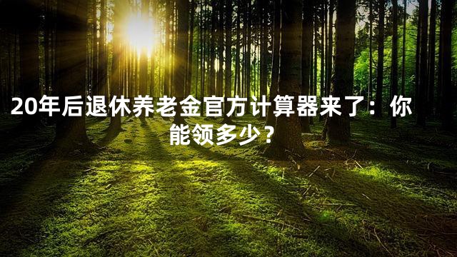 20年后退休养老金官方计算器来了：你能领多少？