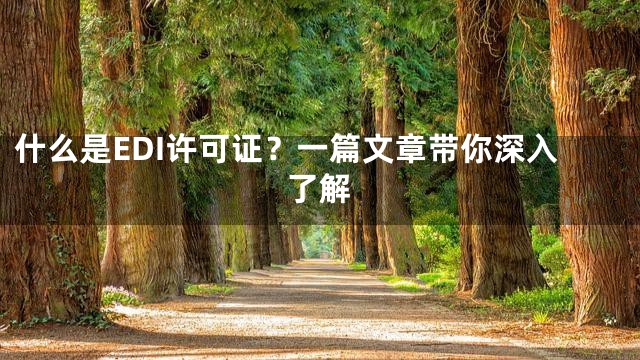 什么是EDI许可证？一篇文章带你深入了解